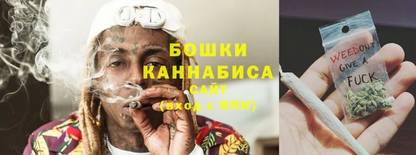 мдпв Ладушкин
