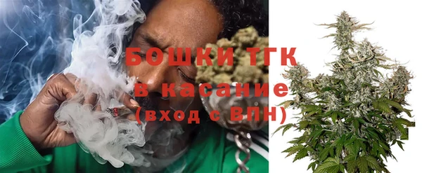 гидра Лихославль