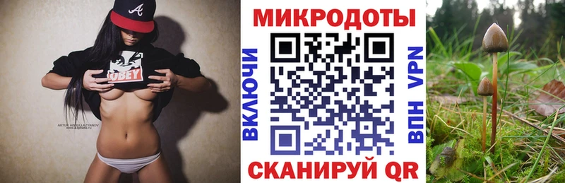 Псилоцибиновые грибы прущие грибы Магас